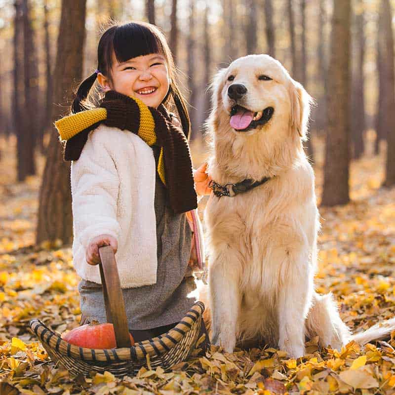 A child smiles as she plays with her dog | Household Staffing