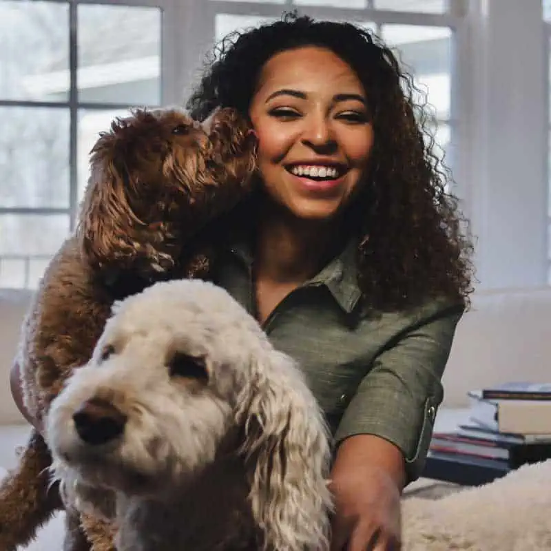 A pet nanny laughs while playing with the family dogs | Household Staffing