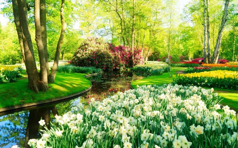Reasons to Hire a Groundskeeper for Your Estate | Household Staffing